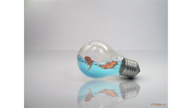 Poisson Ampoule by CITIZEN